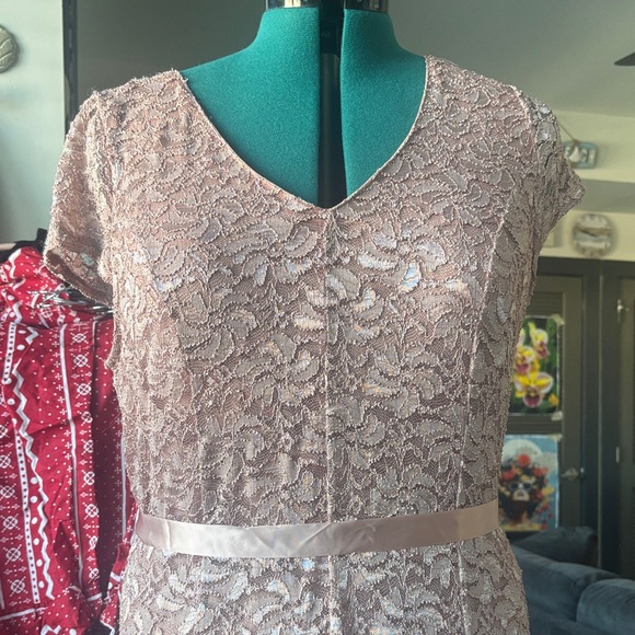 Blush Lace V-Neck Evening Dress - Elegant Women's Gown - Picture 4 of 6